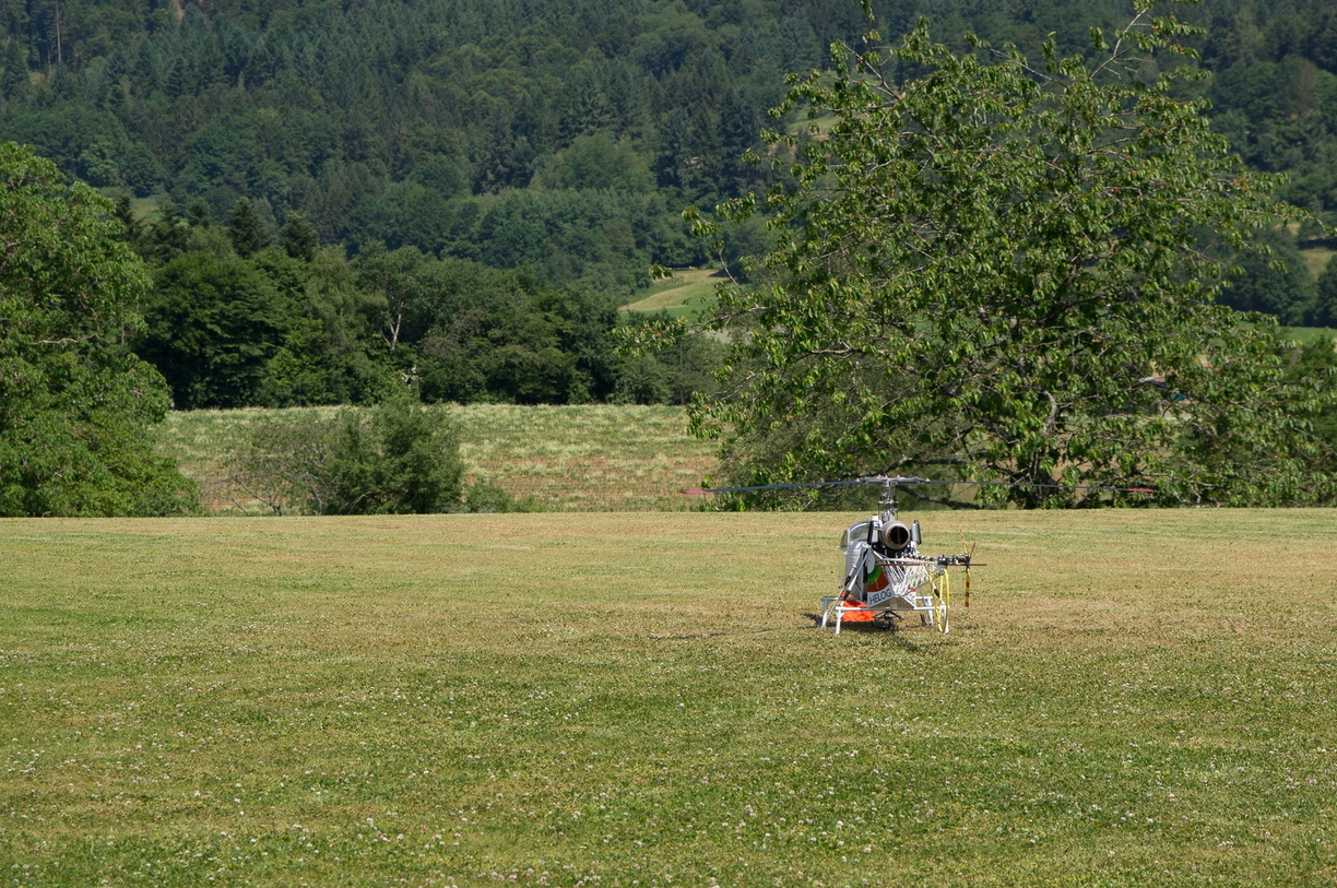 wieslet-02872 (36217 visits) wieslet-02872