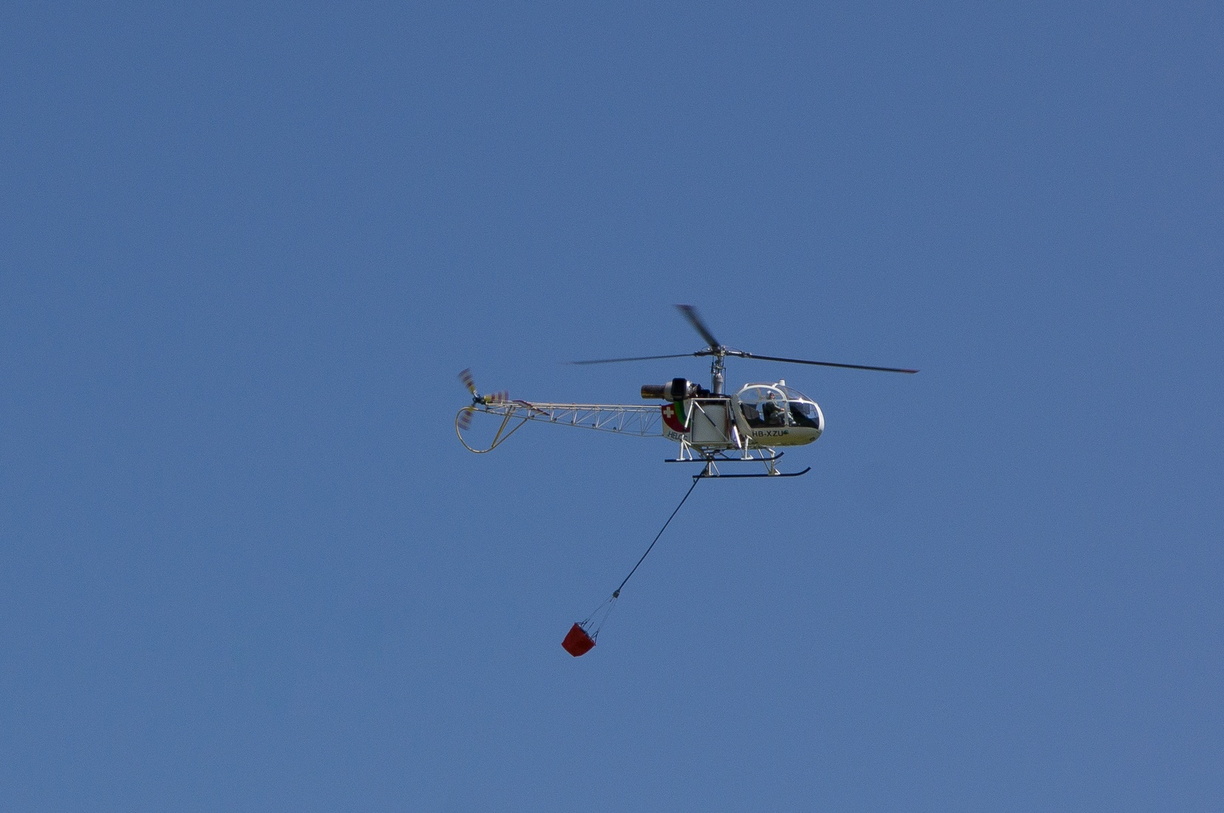 wieslet-02878 (35072 visits) wieslet-02878