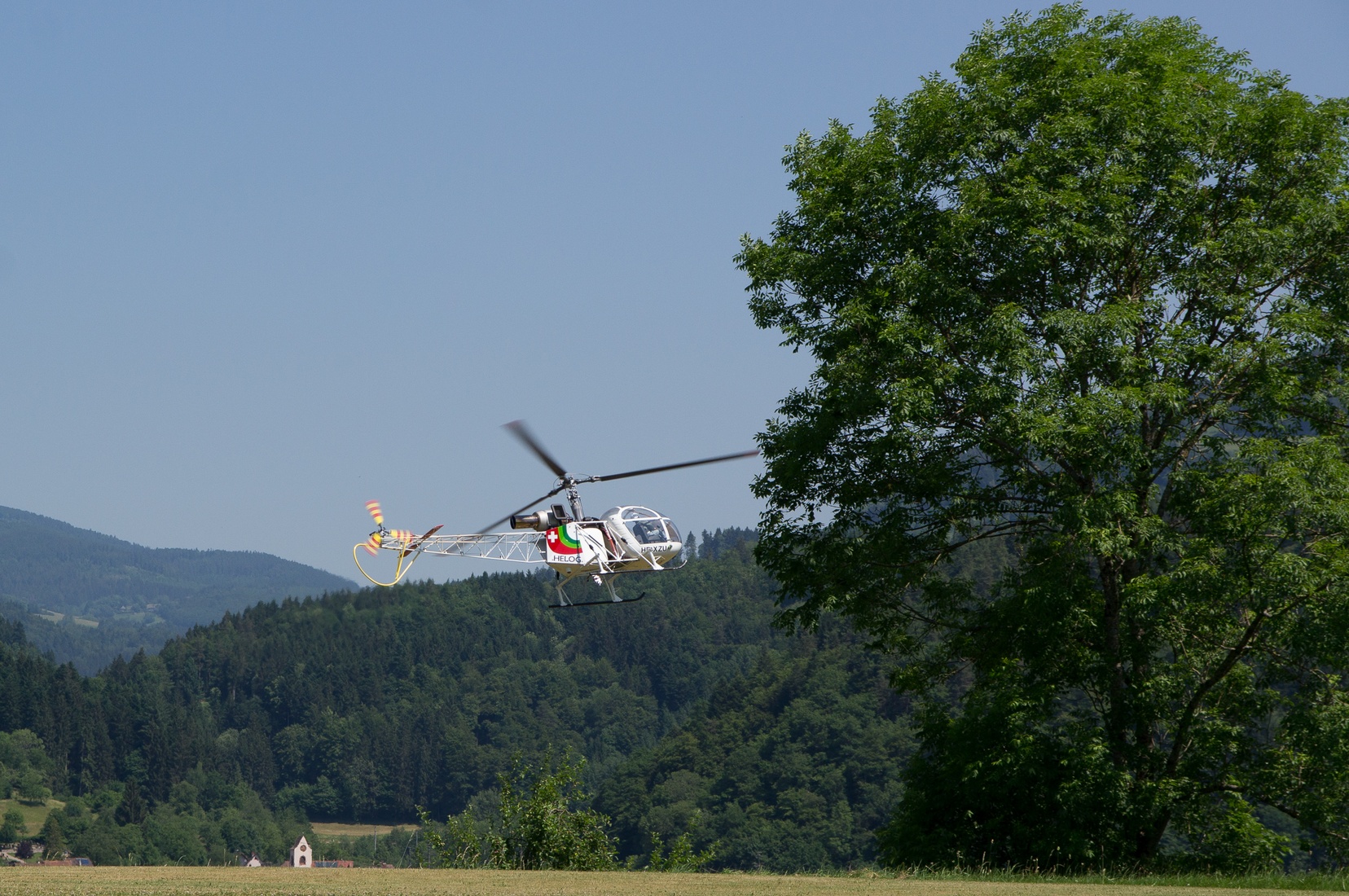 wieslet-02910.jpg