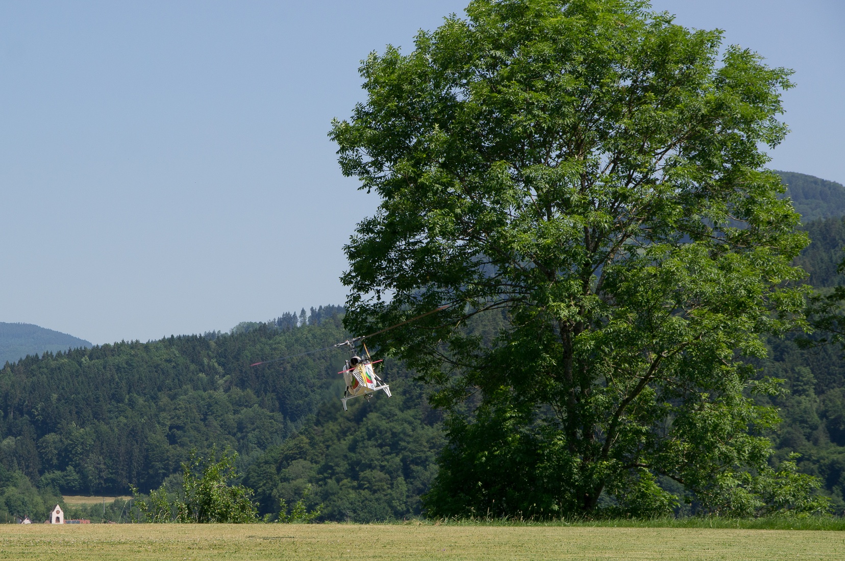 wieslet-02911.jpg