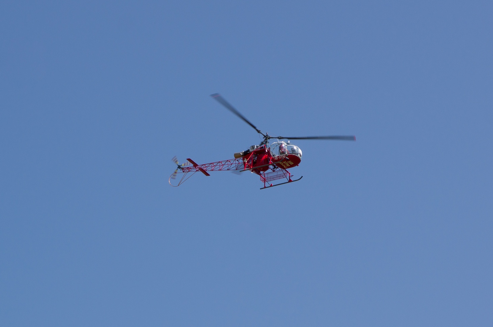 wieslet-02932.jpg