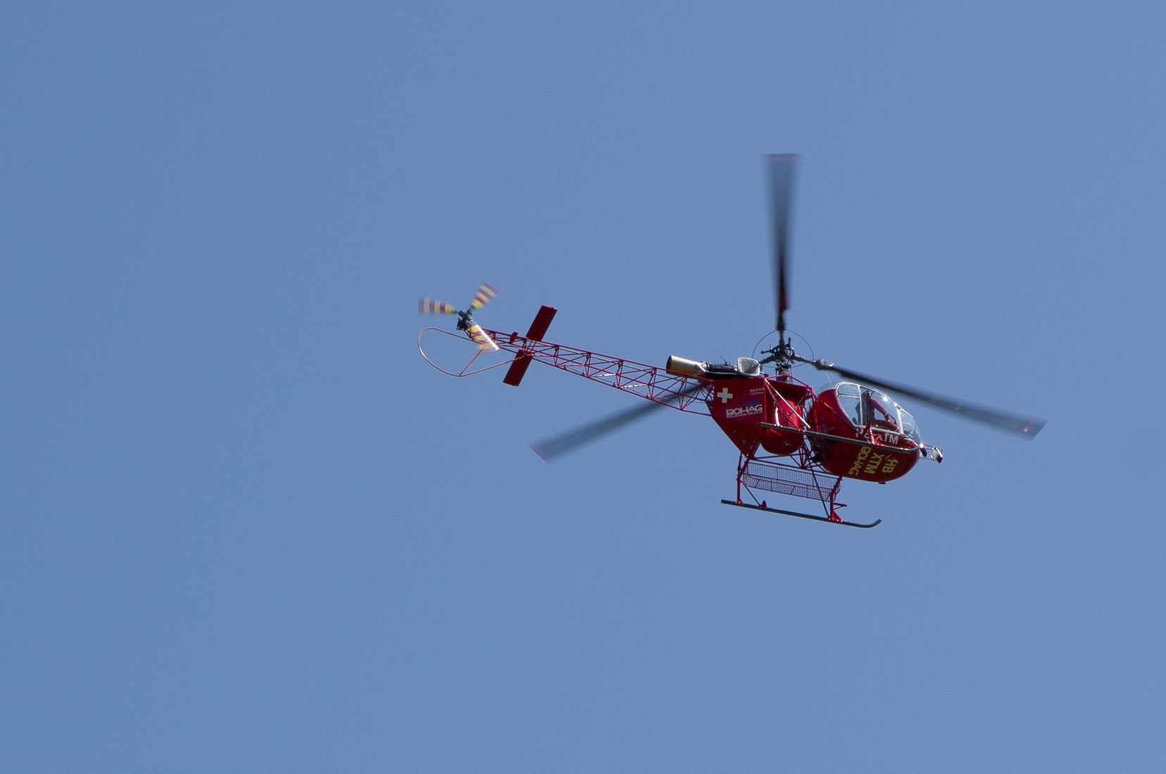 wieslet-02934.jpg