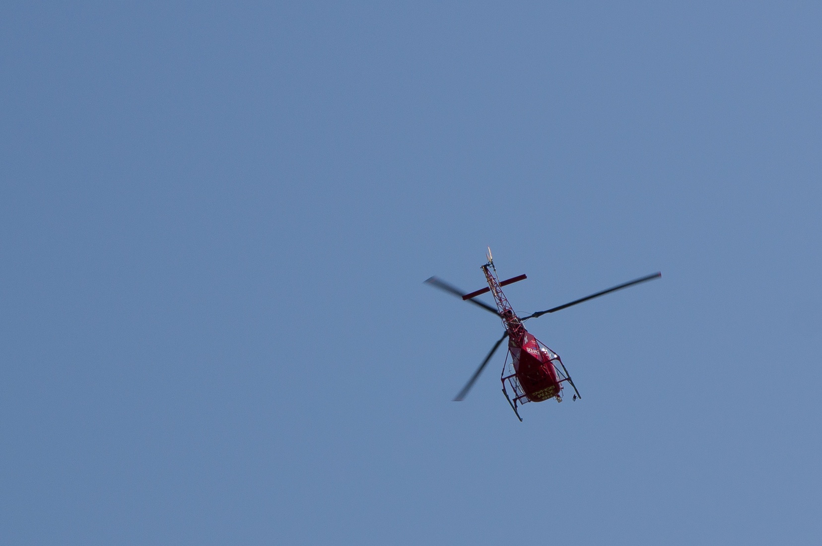 wieslet-02936.jpg