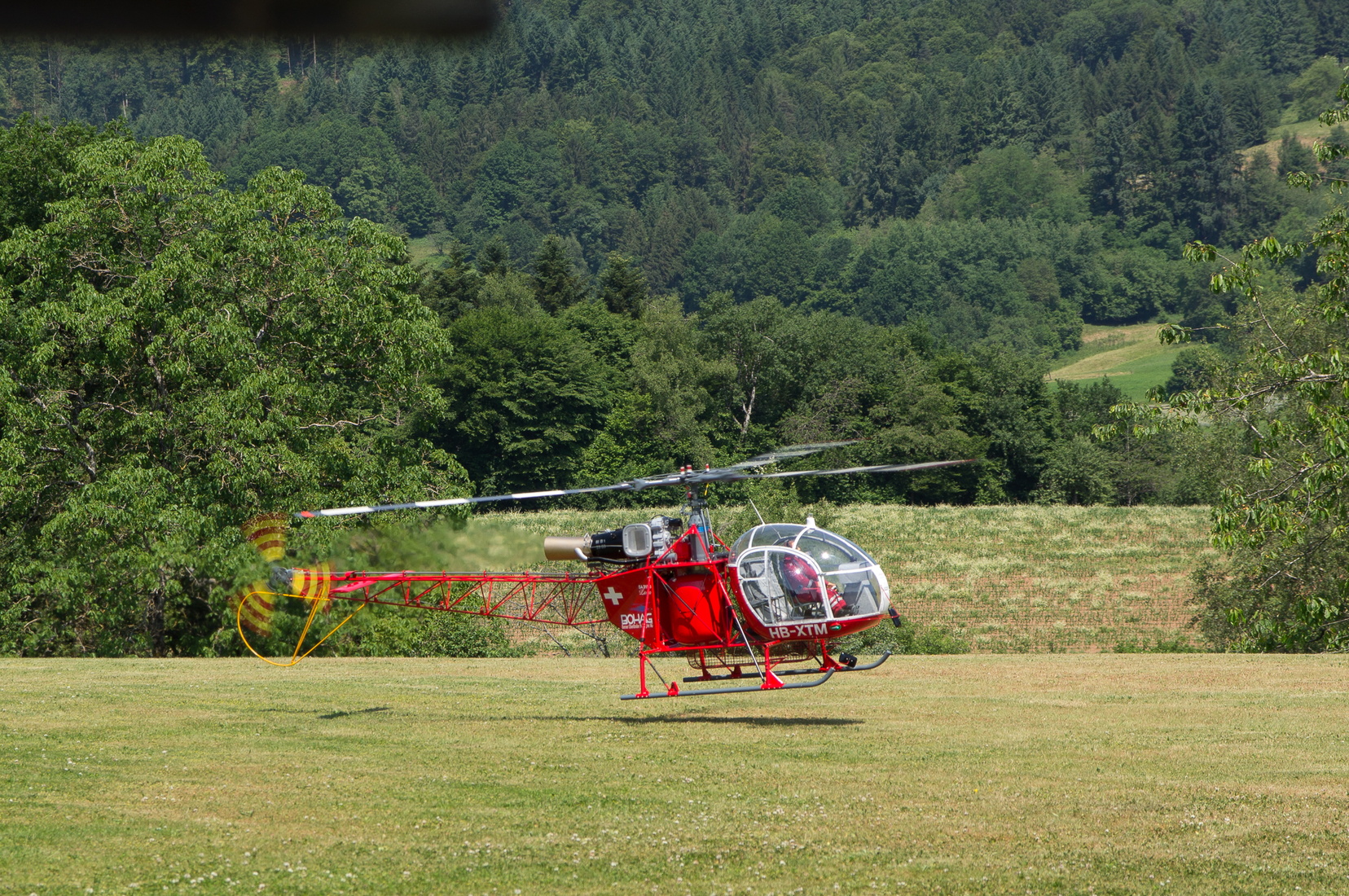 wieslet-02949.jpg