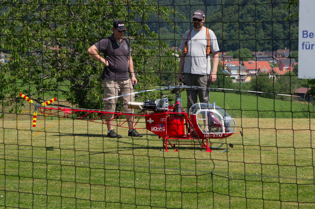 wieslet-02962 (31113 visits) wieslet-02962