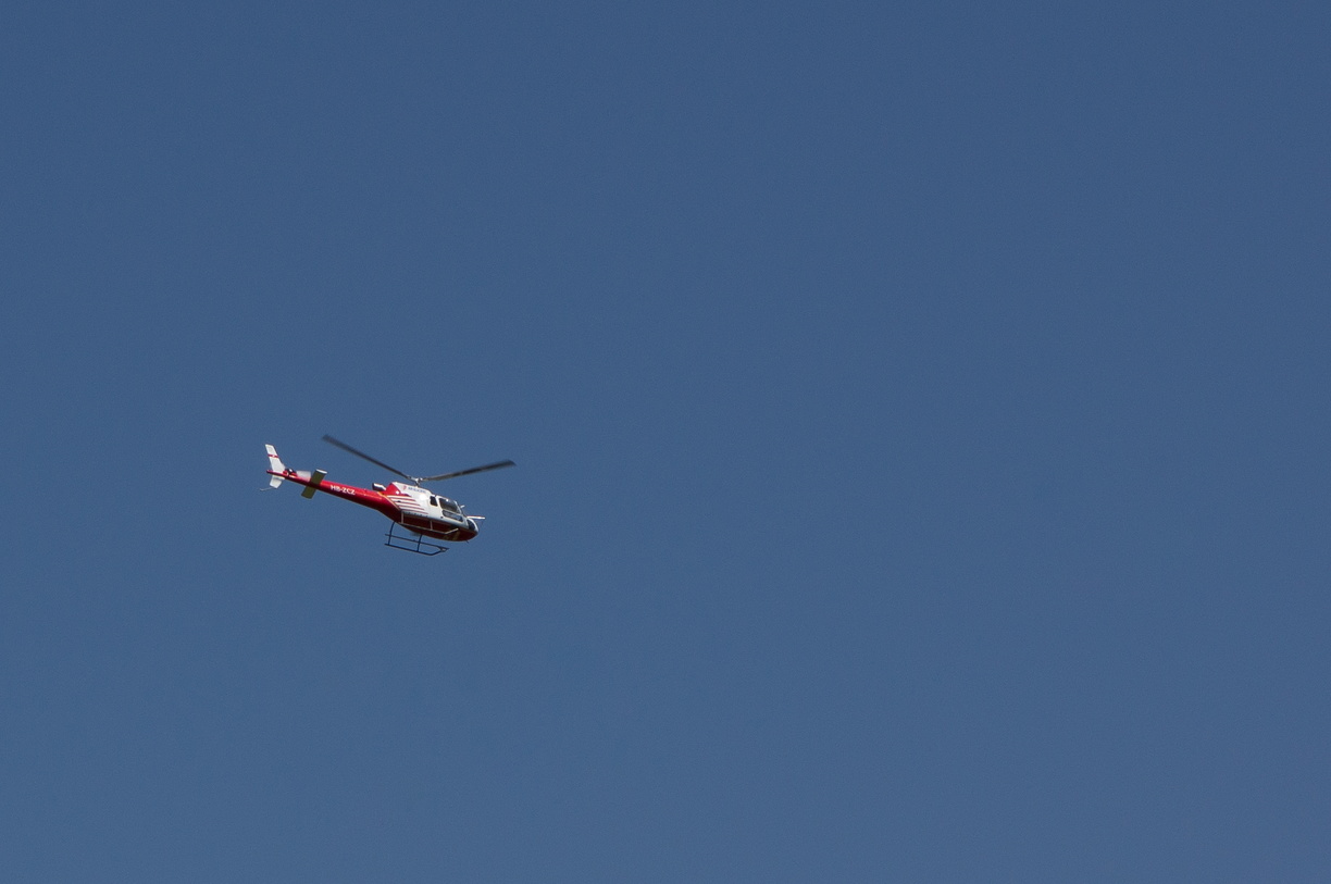 wieslet-02968 (30988 visits) wieslet-02968