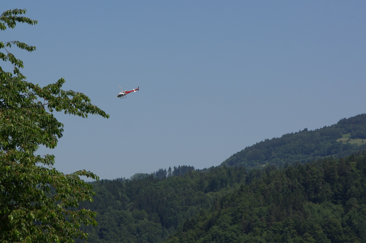 wieslet-02970 (30925 visits) wieslet-02970