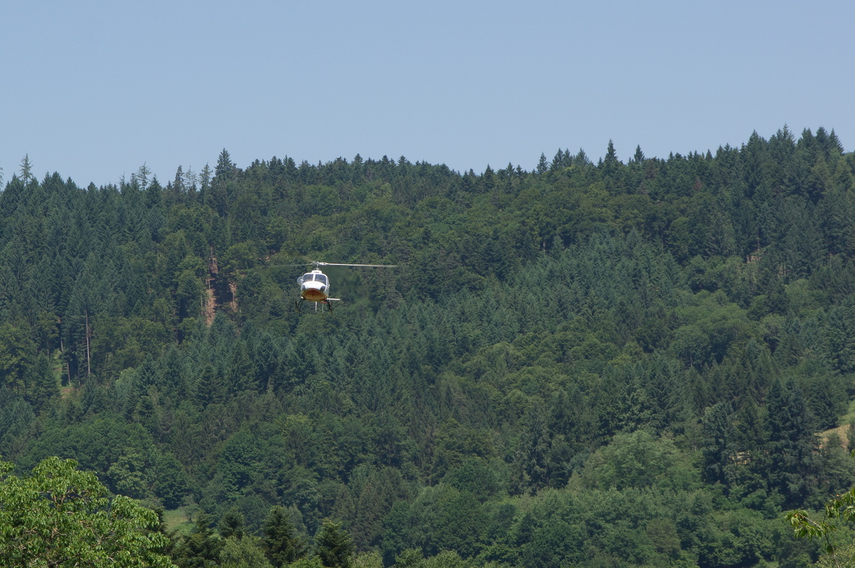 wieslet-02973 (31838 visits) wieslet-02973