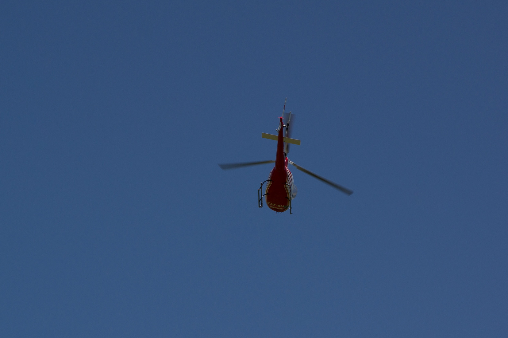 wieslet-03037.jpg