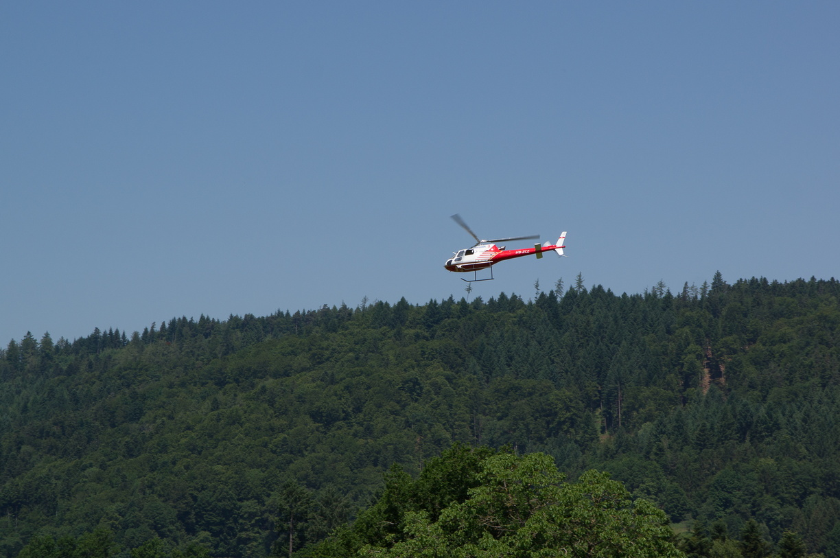 wieslet-03045