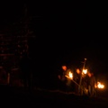 DSC01806