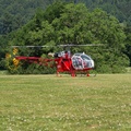 wieslet-02958
