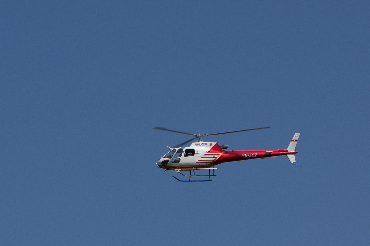 wieslet-02981 (30707 visits) wieslet-02981