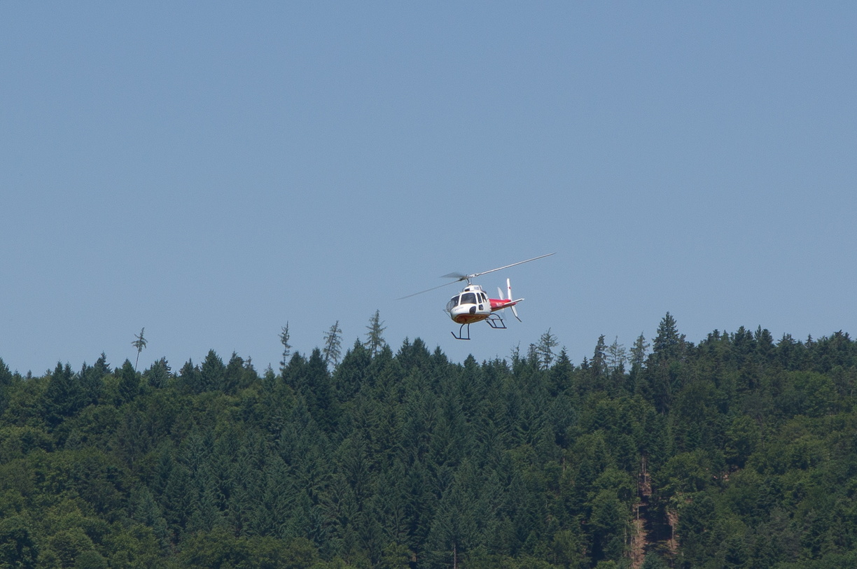 wieslet-02982 (30827 visits) wieslet-02982