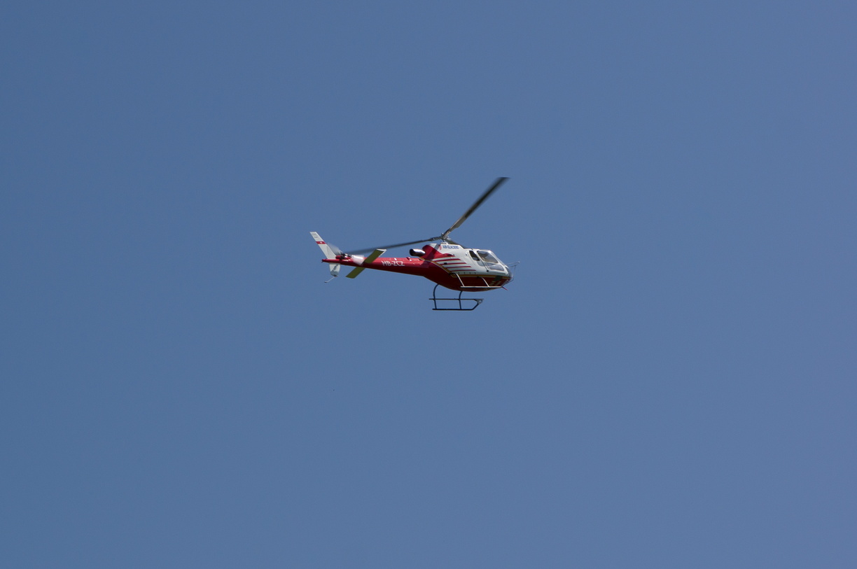 wieslet-02986 (30862 visits) wieslet-02986