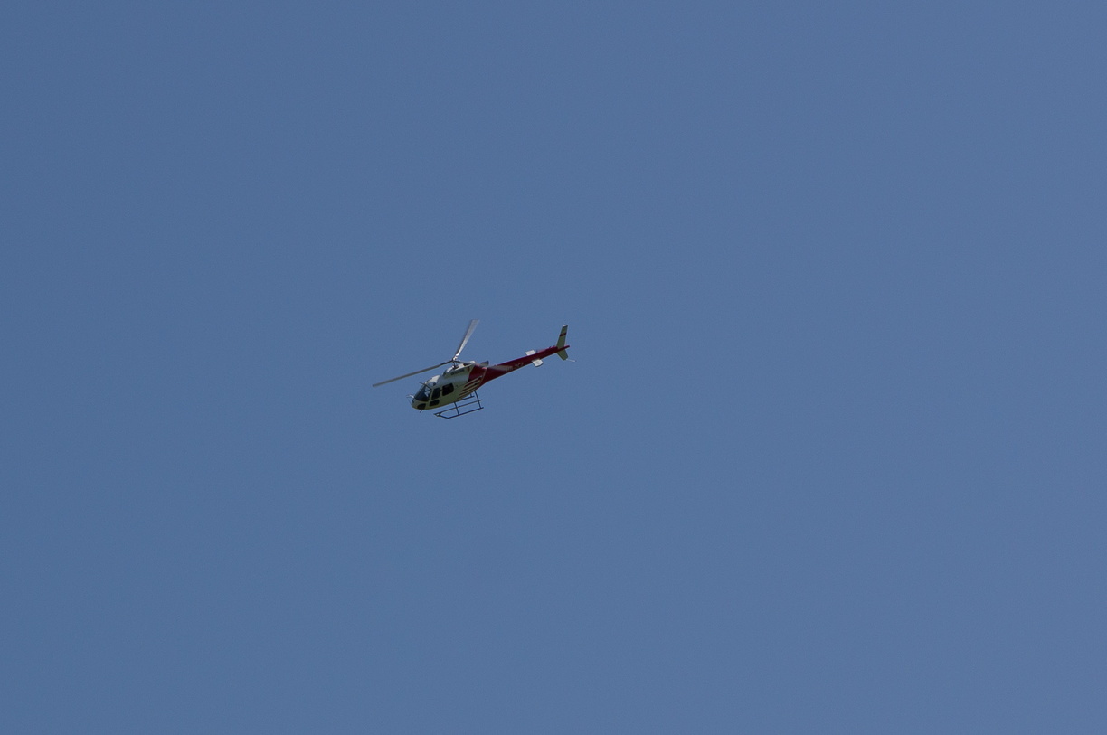 wieslet-02987 (30986 visits) wieslet-02987