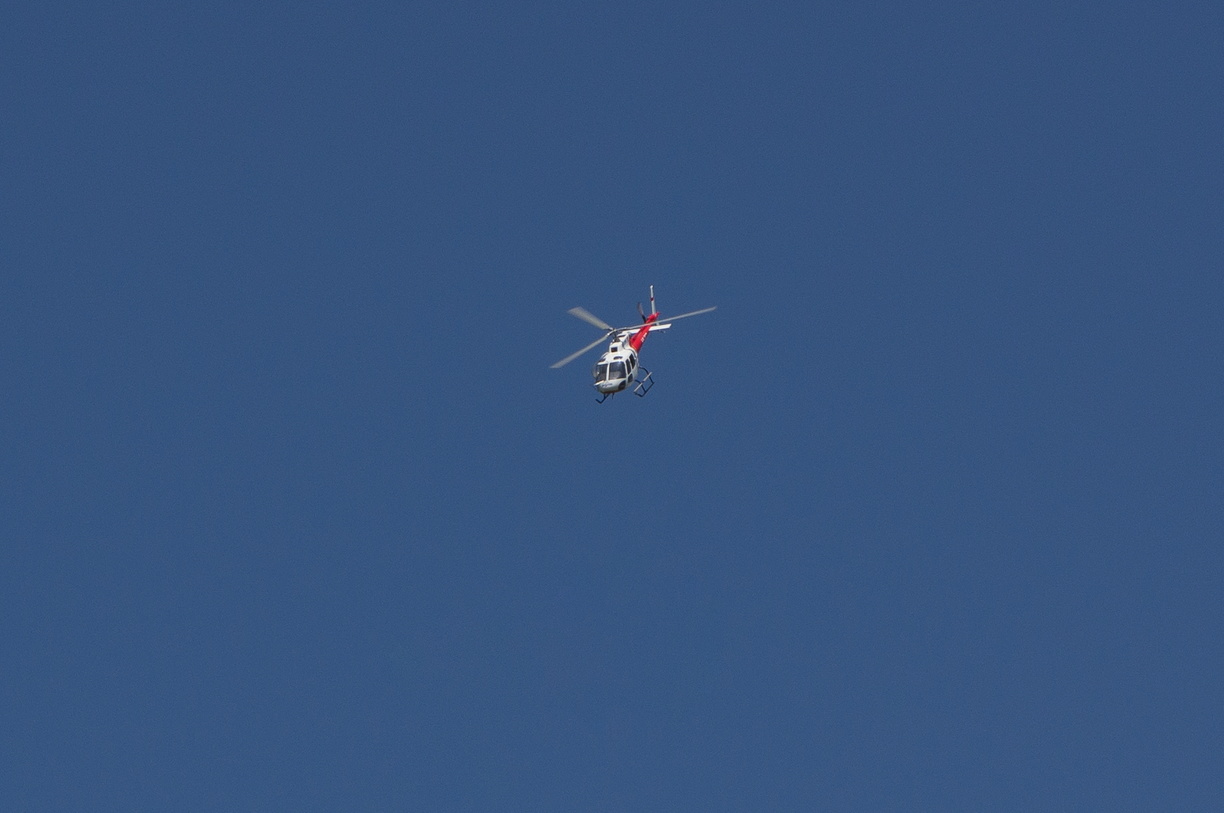 wieslet-02996 (30417 visits) wieslet-02996