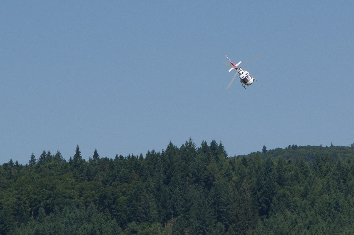 wieslet-03000 (30493 visits) wieslet-03000