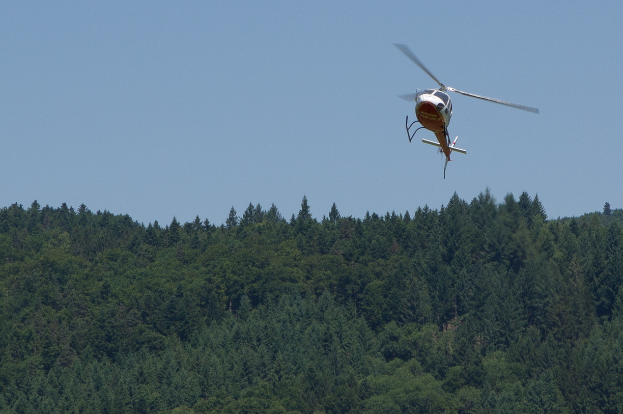 wieslet-03005 (29670 visits) wieslet-03005