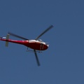 wieslet-03008