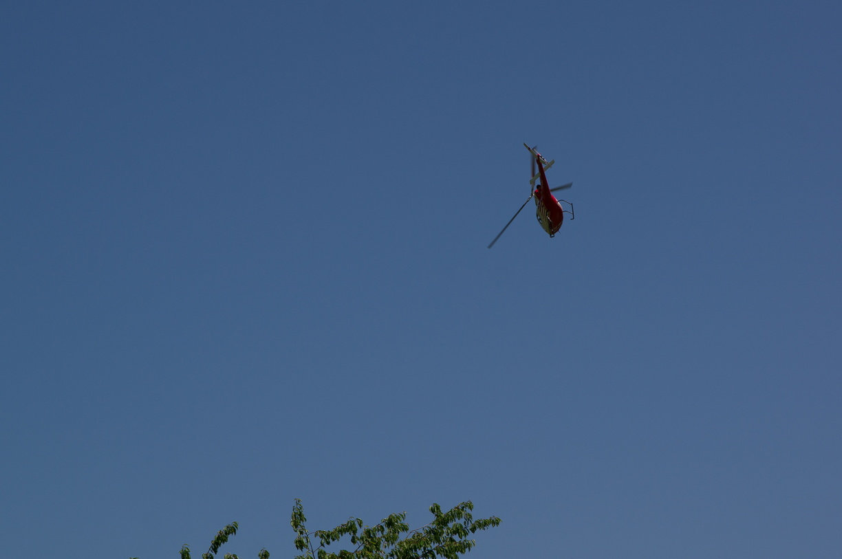 wieslet-03010 (29691 visits) wieslet-03010