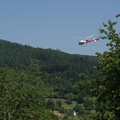 wieslet-03012
