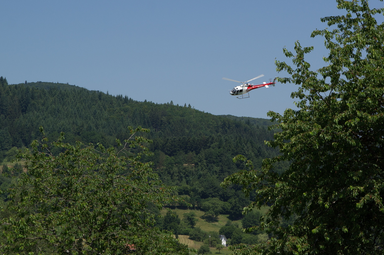 wieslet-03012 (30096 visits) wieslet-03012