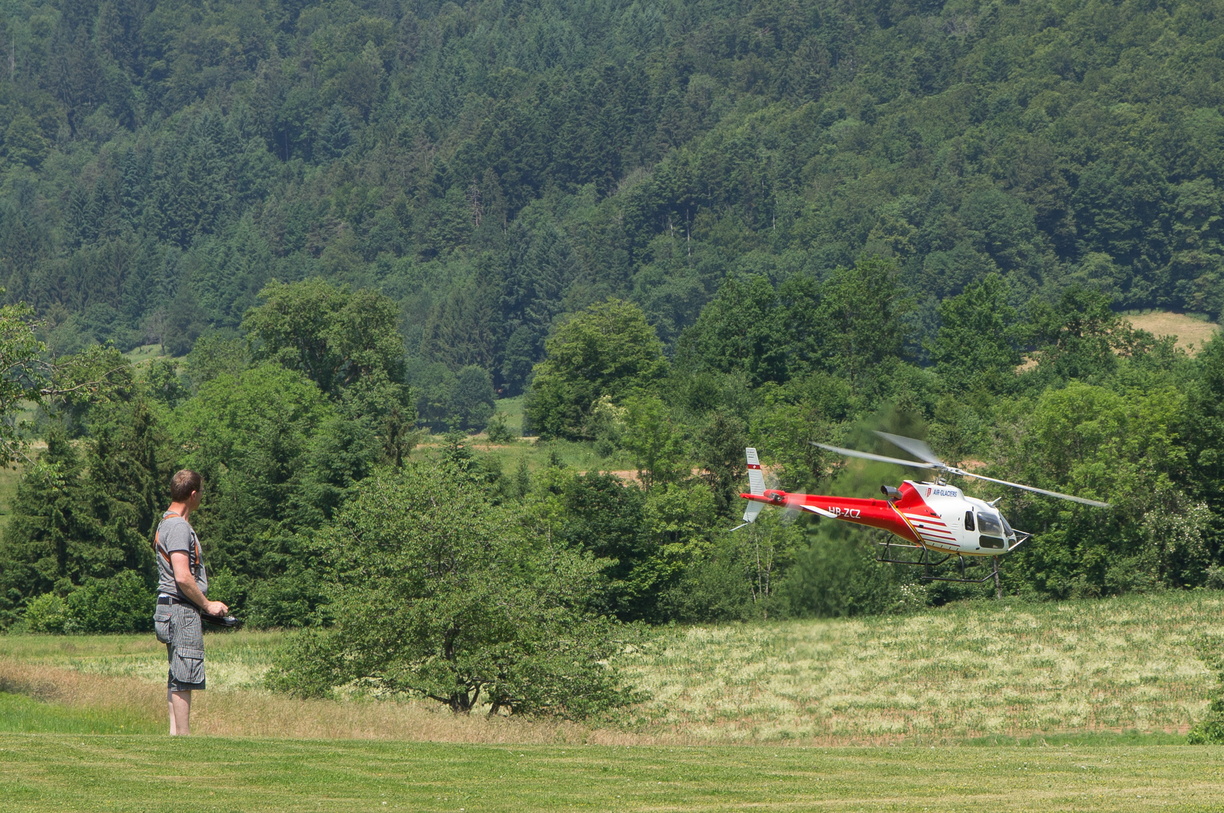 wieslet-03018 (30320 visits) wieslet-03018