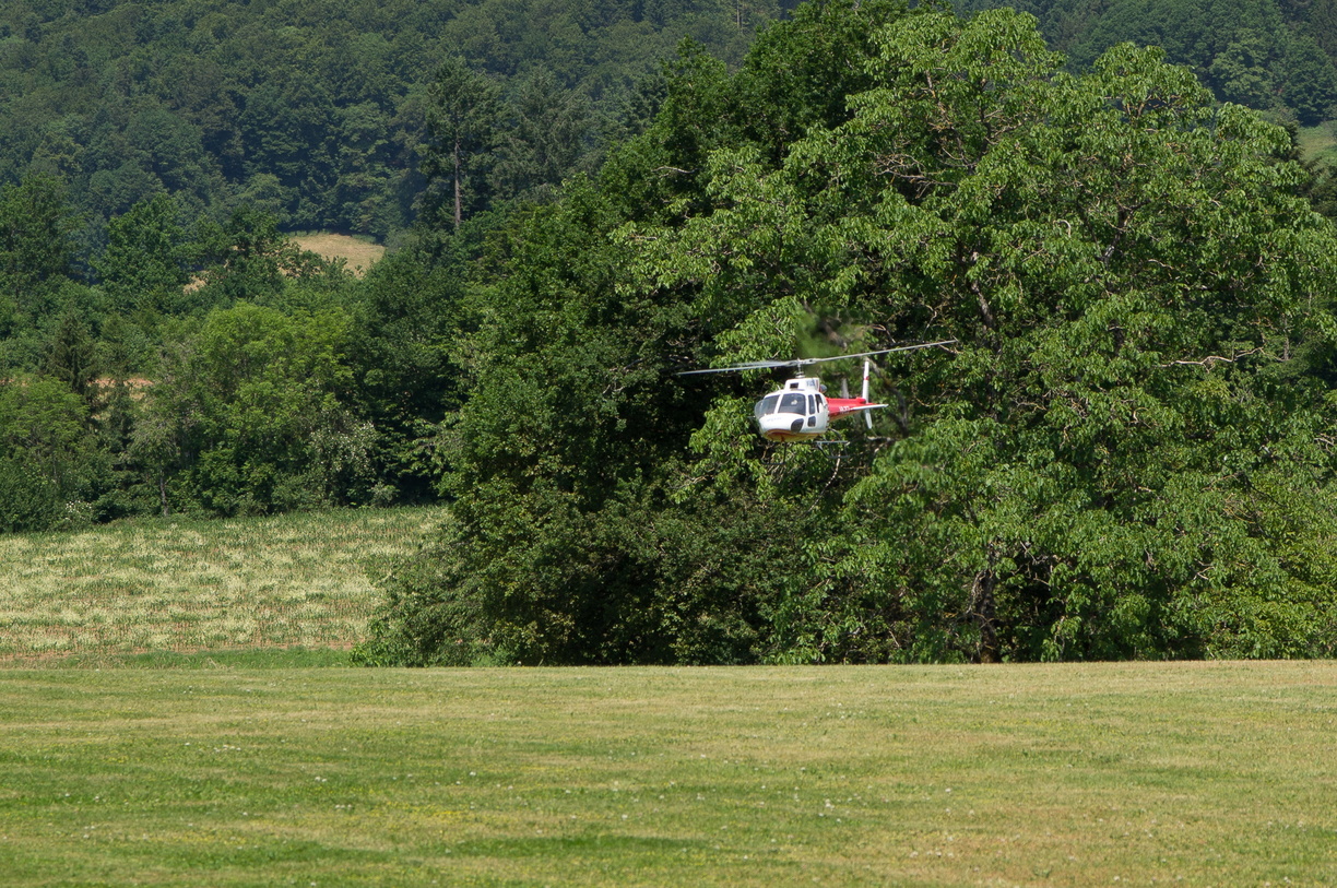 wieslet-03026 (29962 visits) wieslet-03026