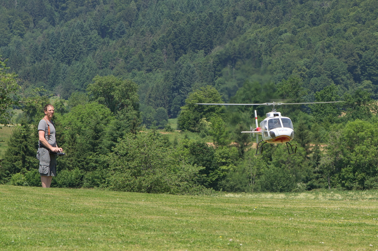 wieslet-03031 (29713 visits) wieslet-03031