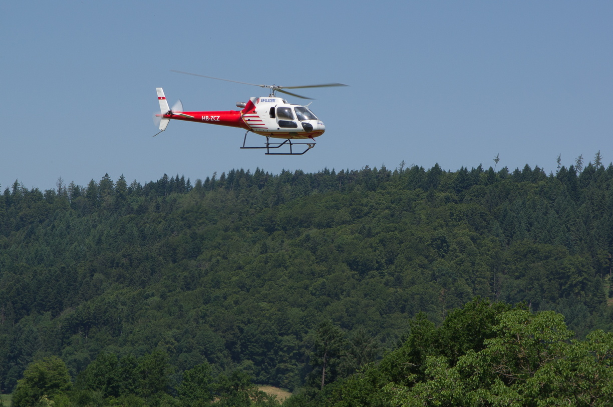 wieslet-03033 (29708 visits) wieslet-03033