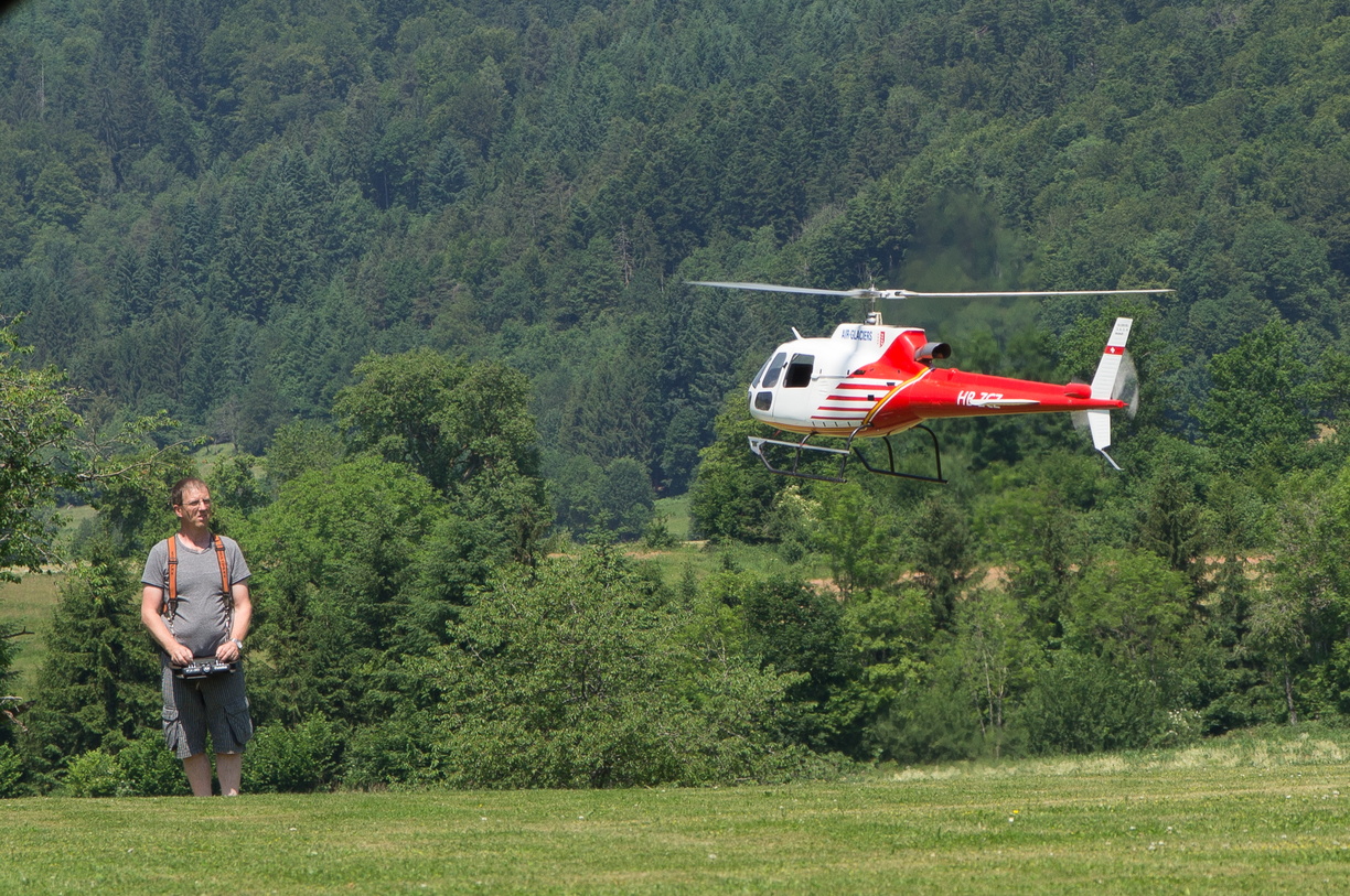 wieslet-03053