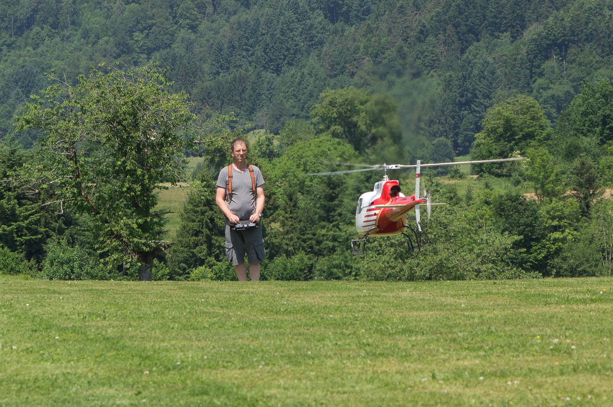 wieslet-03055