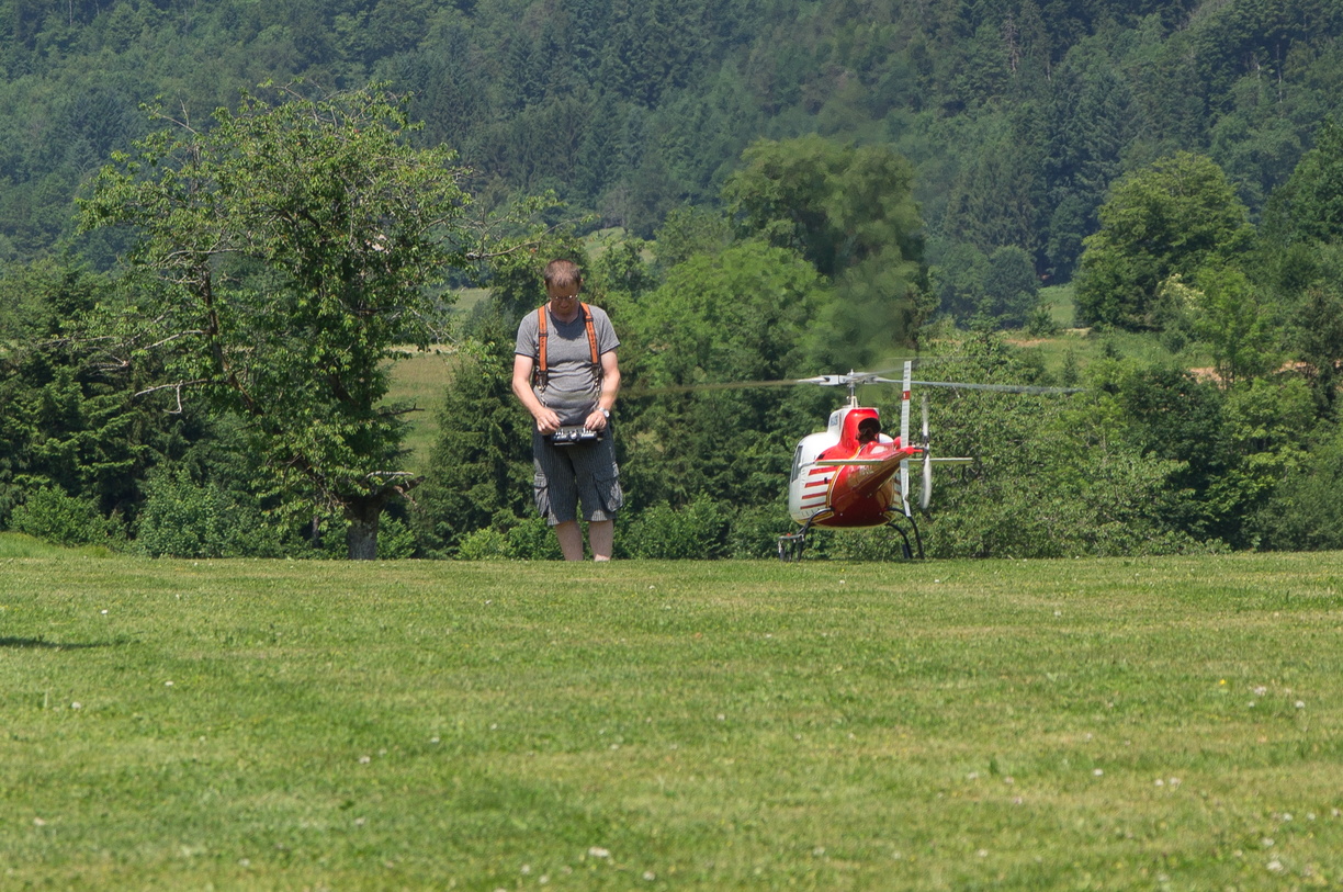 wieslet-03056