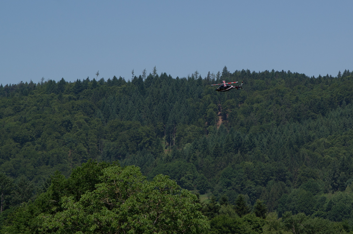 wieslet-03060