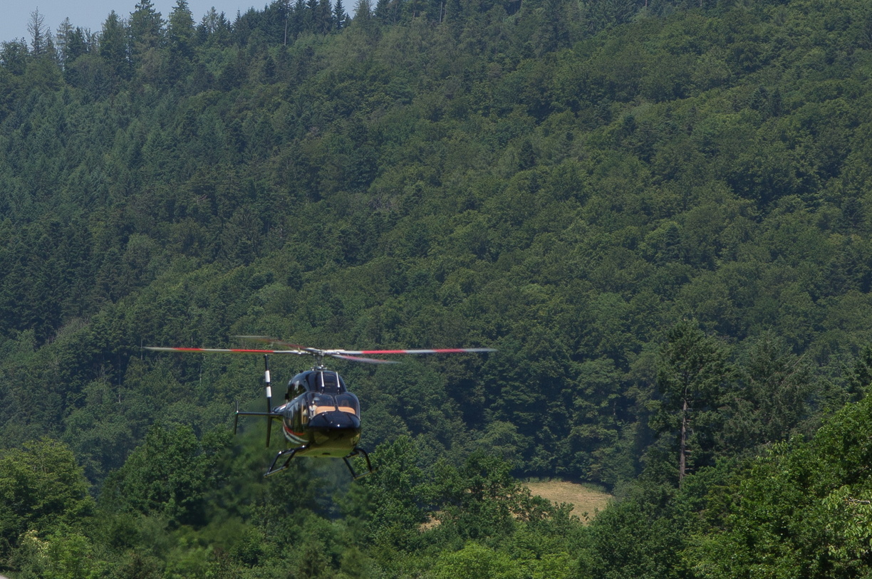 wieslet-03063