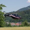 wieslet-03067