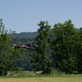 wieslet-03069