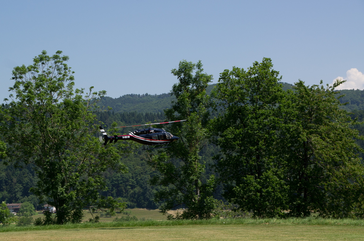 wieslet-03069