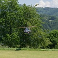 wieslet-03071