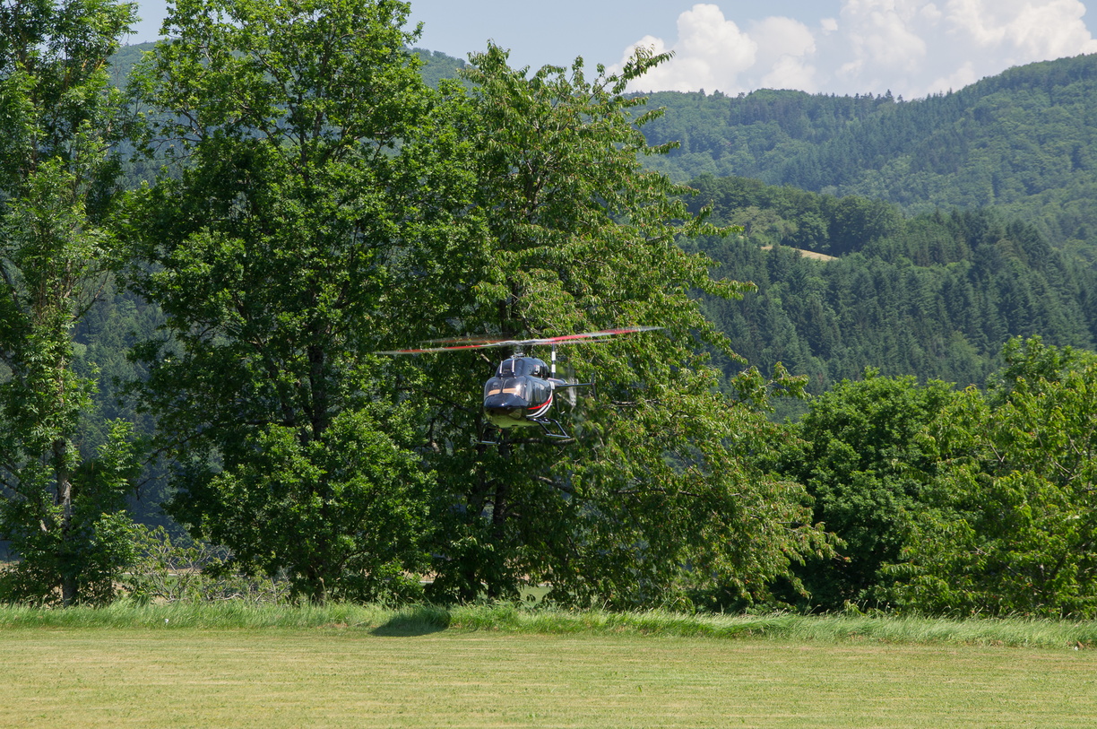 wieslet-03071