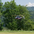 wieslet-03072