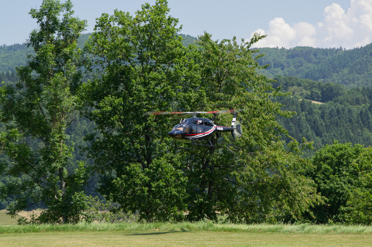 wieslet-03072