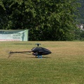 wieslet-03171