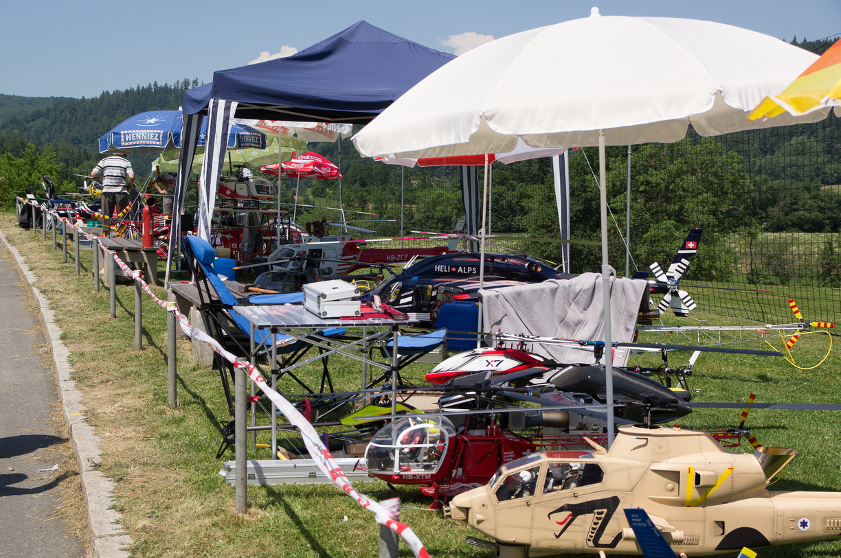 wieslet-03173 (32902 visits) wieslet-03173