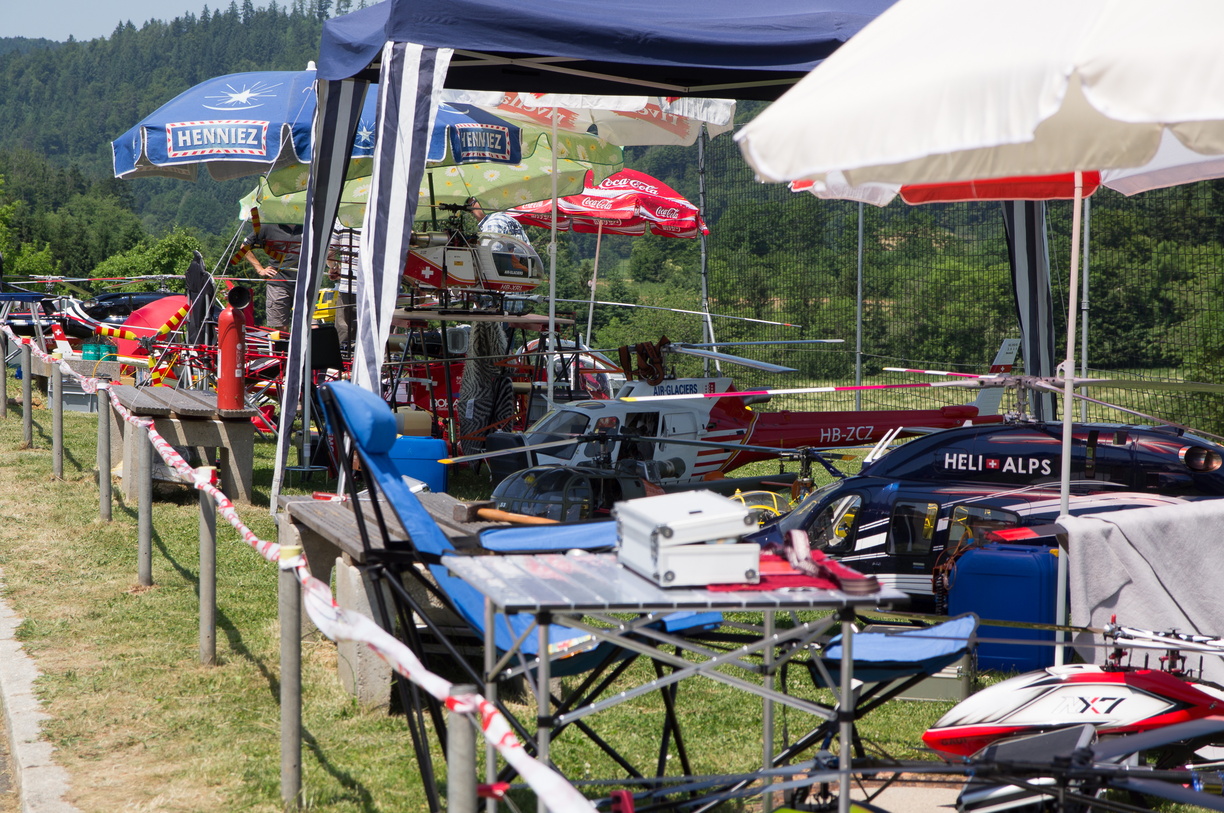 wieslet-03174 (32705 visits) wieslet-03174