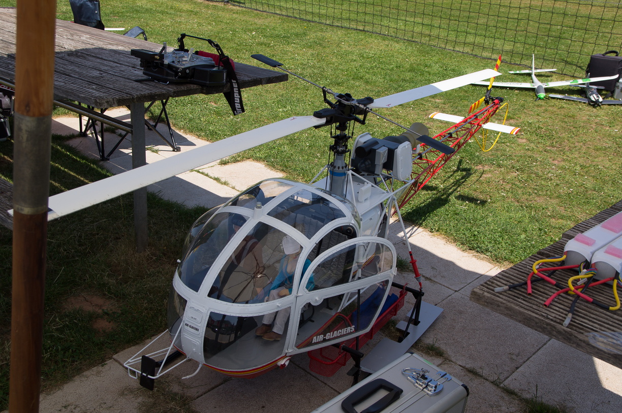 wieslet-03175 (32928 visits) wieslet-03175