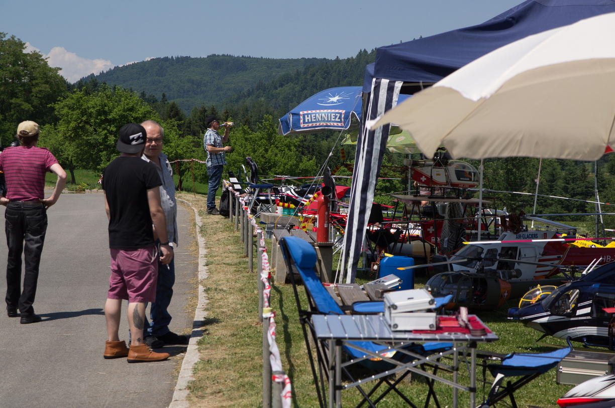 wieslet-03178 (35309 visits) wieslet-03178