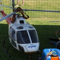 wieslet-03182