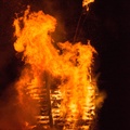 DSC01911